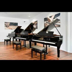 Piano's Maene image 2