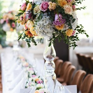 Ivy, Green in Business image 2