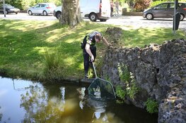Duikers halen buit van inbrekers boven water in Overveen