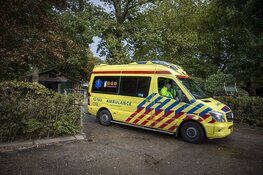 Vrouw gewond na val van paard in Vogelenzang