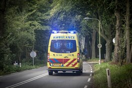 Vrouw gewond na val van paard in Vogelenzang