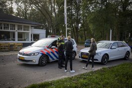 Hert doodgereden op de Zeeweg in Overveen