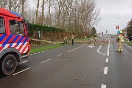 Zondagse storm Ciara houdt Nederland in greep (fotoalbum)