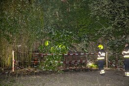 Brand in tuin bij de Van Verschuer Brantslaan in Bennebroek