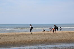 Strand Bloemendaal druk bezocht op Hemelvaartsdag