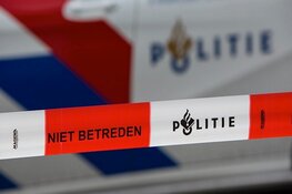 Persoon aangereden door trein