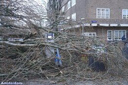 Fotoalbum: Noord-Holland in de greep van storm Eunice