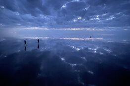 Hoi zeil- en natuurliefhebbers!