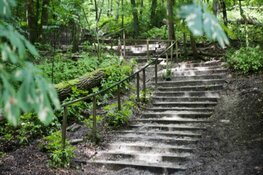 Van het Meertje van Caprera naar het Kopje van Bloemendaal