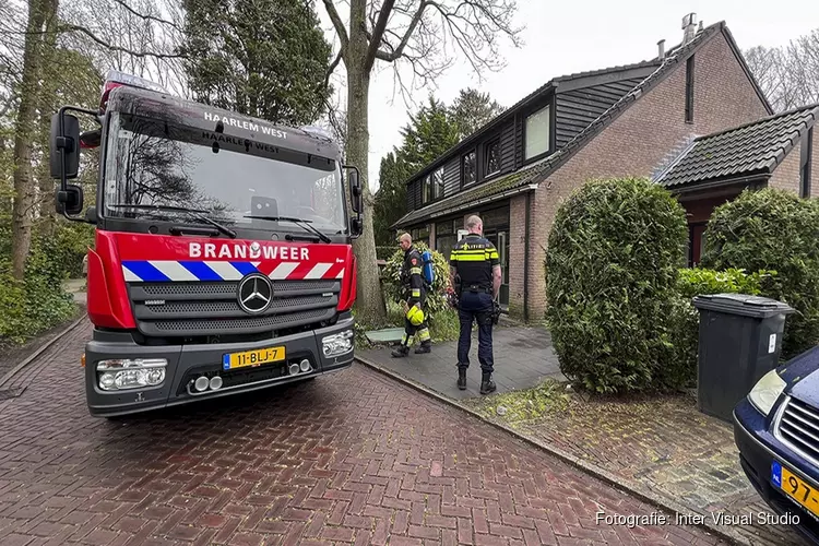 Keukenbrandje in Aerdenhout snel onder controle