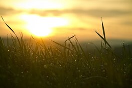 Komende week mix van warmte en buien