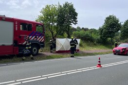 Paard overleden bij aanrijding