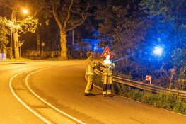 Bestelbus vliegt uit de bocht in Vogelenzang