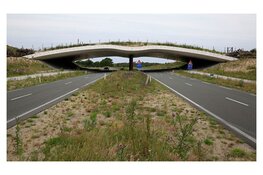 Provincie start onderzoek Zeeweg (N200)