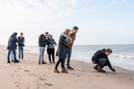 'Sandsation!' Het groene strand organiseert strandnatuur-dag voor jongeren (18-35 jr) met Arjan Dwarshuis