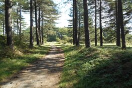 Naar de Thijsse-bosjes op zaterdag 1 april