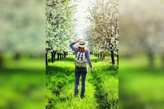 Wandelen op het Noord-Hollandpad