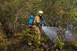 Brandweer heeft handen vol aan duinbrand in Overveen