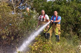 Brandweer heeft handen vol aan duinbrand in Overveen