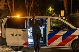 Automobiliste op leeftijd aangehouden na eenzijdig ongeval in Aerdenhout