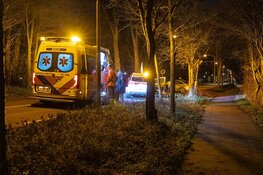 Auto tegen boom gereden in Vogelenzang