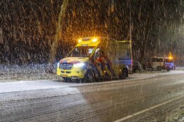 Auto tegen boom gereden in Zandvoort