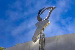 Heerlijke, zondagse sfeer op Bevrijdingspop Haarlem 2024