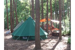 Doe mee met de Elswoutgroep: Ga op avontuur in de natuur!