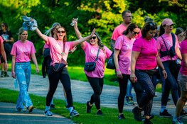 Zomerse 20e Pink Ribbon Dam tot Dam Wandeltocht gezellig en geslaagd