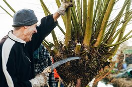 Wethouders uit Bloemendaal steken de handen uit de mouwen tijdens NLdoet 2025