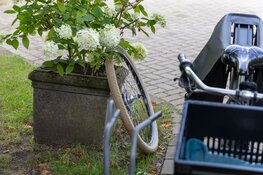 Hond raakt bekneld tussen voorwiel van fiets in Bloemendaal