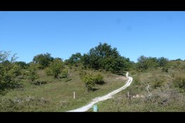 Wandeling door het Kraansvlak