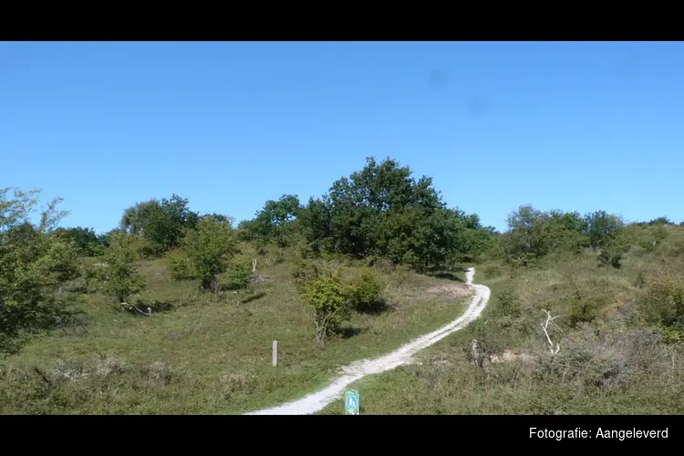 Wandeling door het Kraansvlak