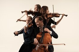 Dudok Quartet Amsterdam treedt op in het gemeentehuis van Bloemendaal