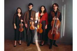 Concert Otilka Quartet & Ileana Termini in gemeentehuis van Bloemendaal
