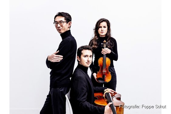 Concert Amatis Trio zondag 11 januari