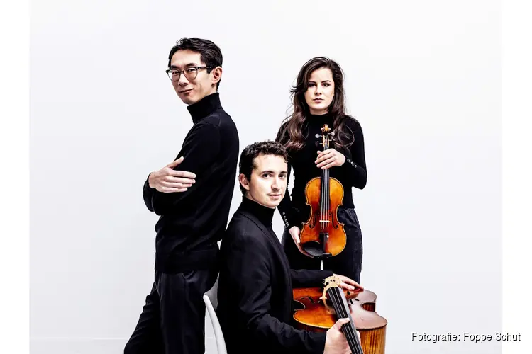 Concert Amatis Trio zondag 11 januari