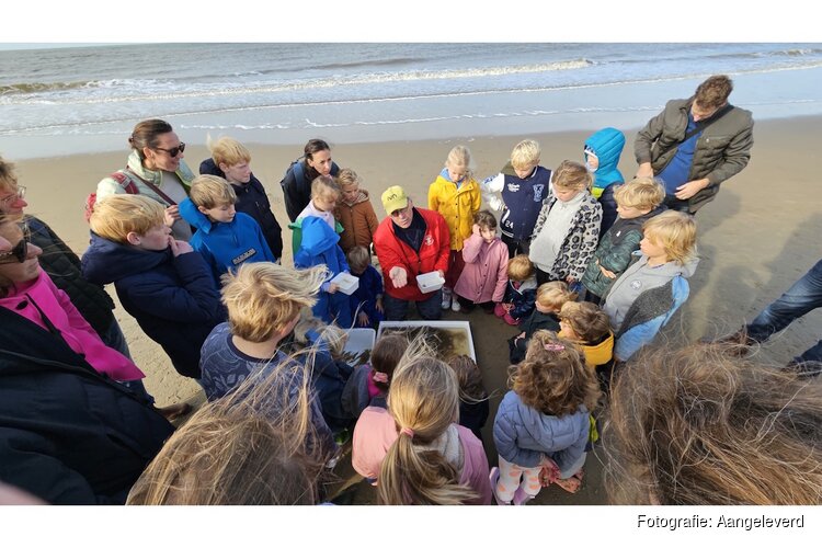 Vissen met een kor voor kinderen
