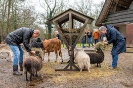 Burgemeester Rog steekt handen uit de mouwen bij het Hertenkamp in Bloemendaal tijdens NLdoet 2026
