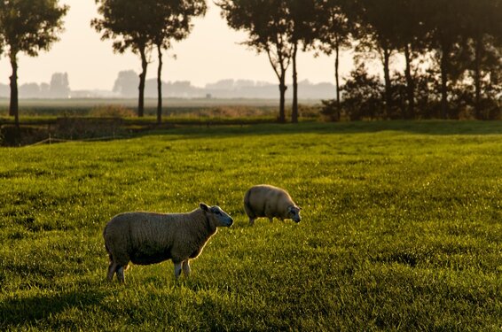 April doet wat het wil, maar temperaturen lopen langzaam op