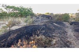 Brand in de duinen bij het Duinpierpad in Zandvoort